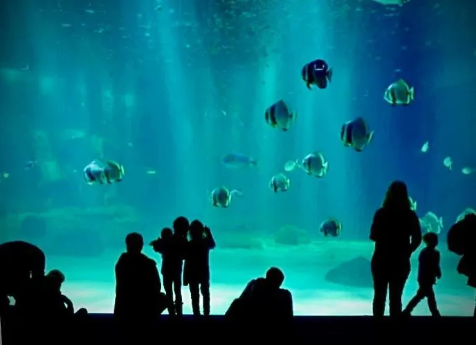 La Margaret Face Casa vacanze Équihen-Plage